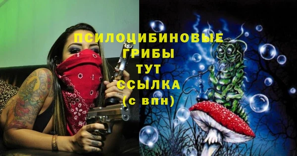 таблы Пересвет