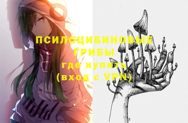 тгк Переславль-Залесский