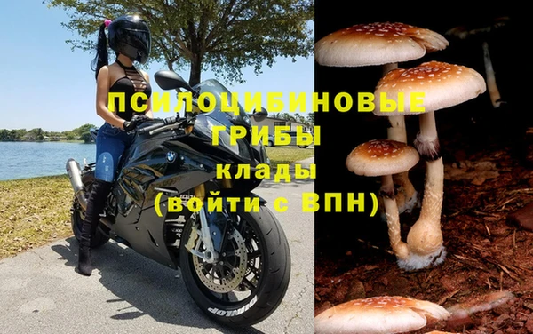 меф Пестово