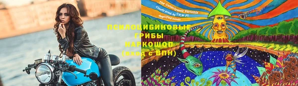 тгк Переславль-Залесский