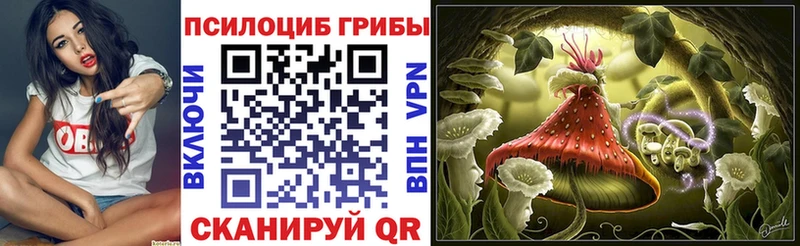 mega вход Апатиты Псилоцибиновые грибы прущие грибы