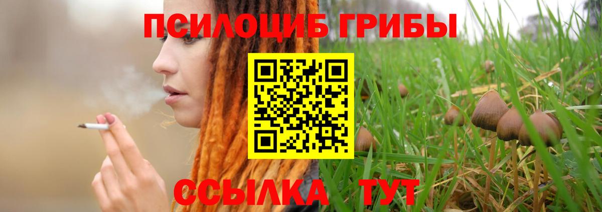 Псилоцибиновые грибы ЛСД  Вход с VPN  Апатиты  Галлюциногенные грибы Psilocybe 