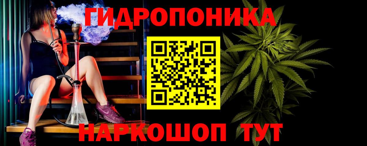 Канабис планчик Апатиты